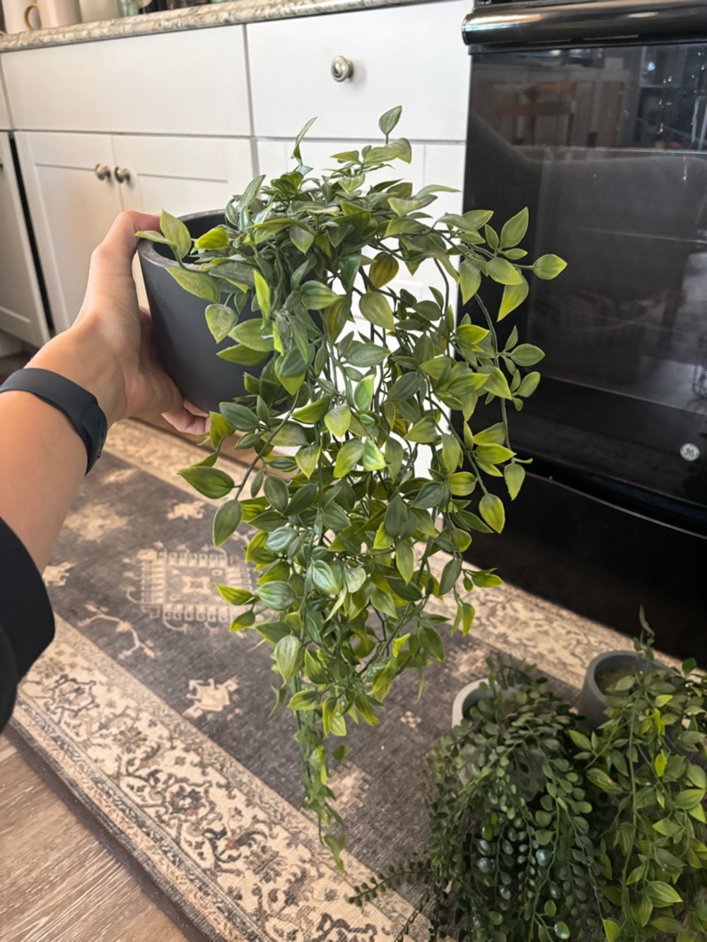 Artificial Vine Hanging Greenery | Set of 3 | Faux Vine Plant - Picture 2 of 6